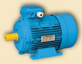 Электродвигатели трёхфазные ABLE MS Электродвигатели трёхфазные ABLE MS